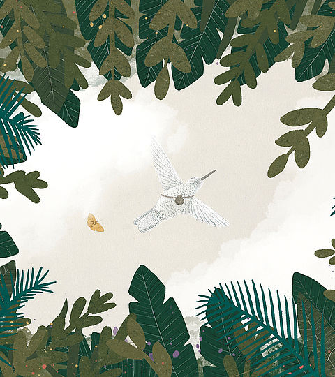 Weißer Kolibri fliegt durch einen üppigen tropischen Wald, poetische Bilderbuchillustration der Südtiroler Illustratorin Elisabeth Mair.